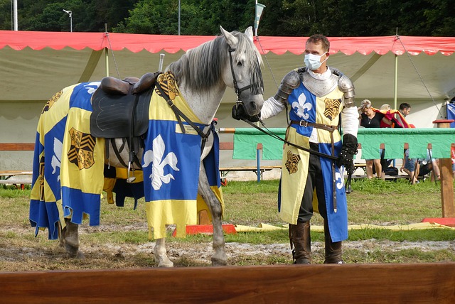 是他们取胜 是他们取胜