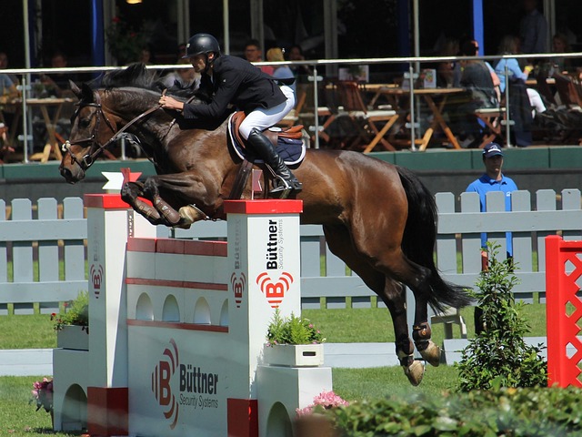 大的杯赛气 大的杯赛气