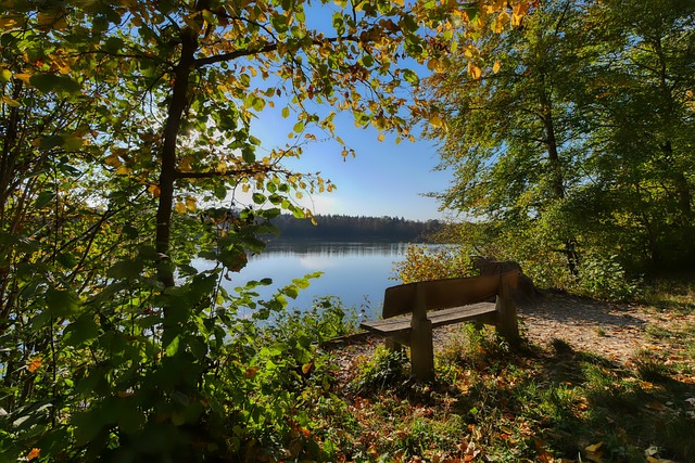 更好的表现 更好的表现